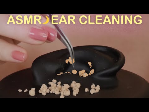 [ASMR] 뇌에 숨은 팅글찾기｜Find the Hidden Sense in the Brain｜脳に隠れた感覚探し