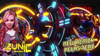 DJ PELAS TERI FULLBASS TIKTOK VIRAL 2021 BY DJ ZUNIE BARBIE   GRATIS LINK MP3