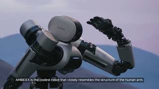 This Superhuman Robot Can High Five You at 5 m/s (But Don't Blink!)