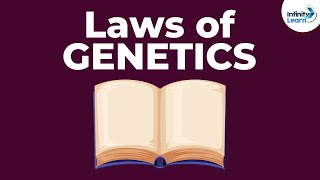 Laws of Genetics  Lesson 5 | Don't Memorise