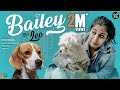 Ref:mD0YVEh7r2c Bailey - b/o leo || mahathalli || tamada media