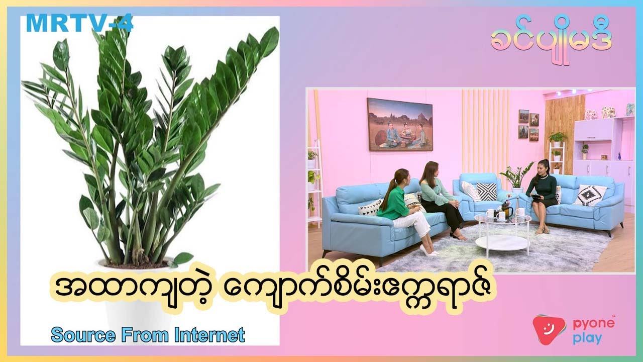 😎 သူ့အထာနဲ့သူနေတဲ့ ကျောက်စိမ်းဧက္ကရာဇ် ပင်လေး  | ခင်ပျိုမဒီ | MRTV-4