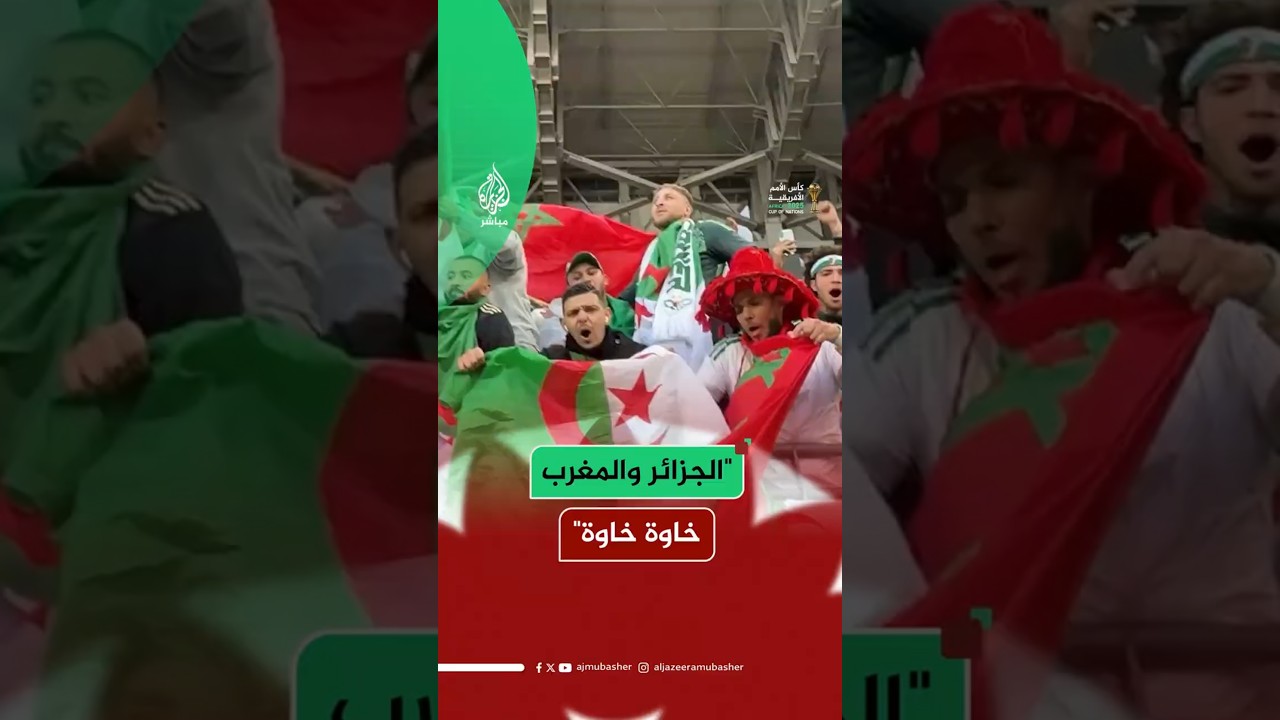 هتاف يوحد الجماهير المغربية والجزائرية في كأس الأمم الإفريقية