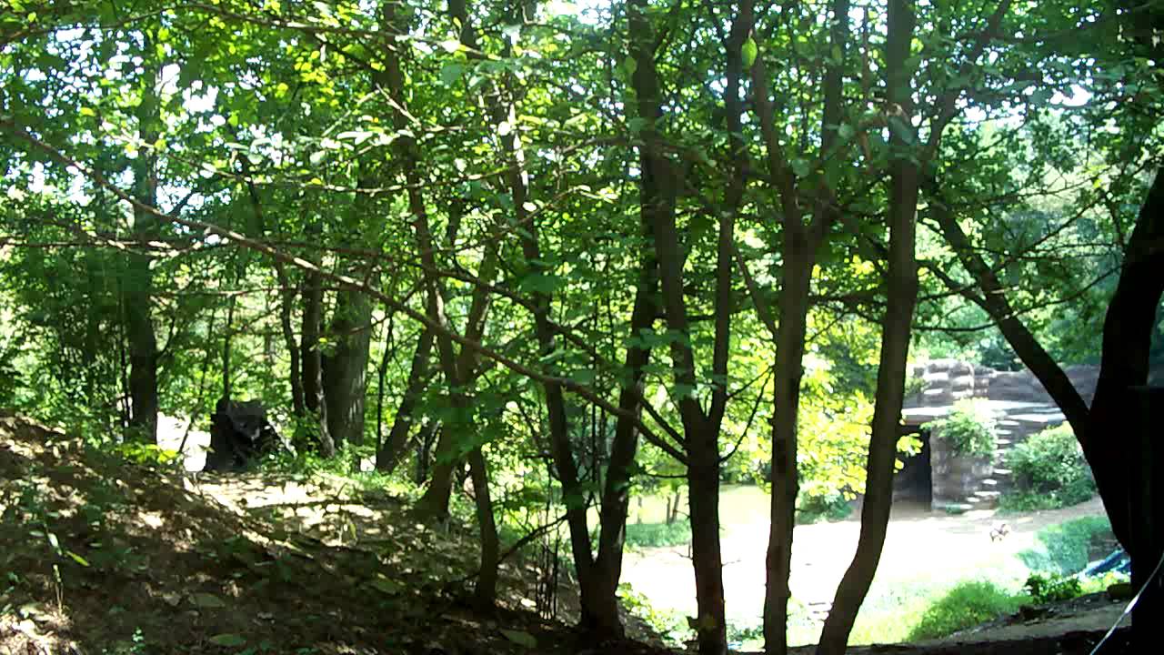 Tecumseh! Outdoor Drama Backstage Tour - 1 of 8