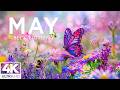 Springtime Splendor 4K | Fluttering Butterflies & Buzzing Bees 🌸 A Beautiful Garden Awakening
