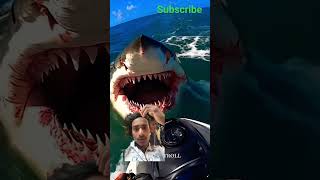 #shark #megalodon #greatwhiteshark #sharkattack #horror