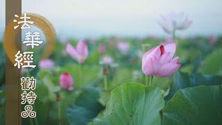 【靜思妙蓮華】法華經勸持品 - 前明平等 今此勸持 - 20230301 第1361集