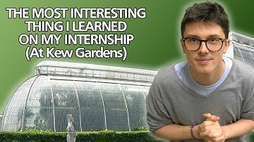 What I Learned on my Internship at Kew Gardens - The Secret Witch Hunts of Nigeria