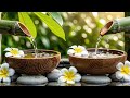 Relaxing Piano Music Bamboo Water Fountain, Sleep Music, Relaxing Music, Meditation Music