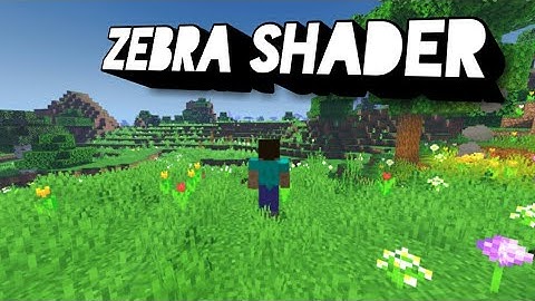 Zebra shader for minecraft pocket edition works in 2gb ram