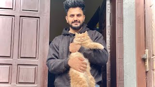 Stan Wapis A K Kiki Ko Clean Karny Me Both Galia Khani Parti Ha