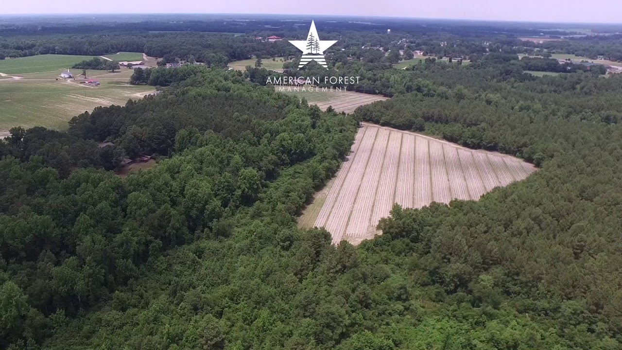 Salemburg Main YouTube