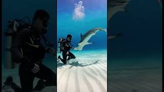 Nice to see you again my friend