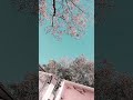 #BrajeshBaghel