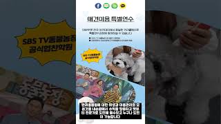 애견미용자격증 취득부터 창업까지 한번에 펫뷰티션 가격정보 혜택 #shorts