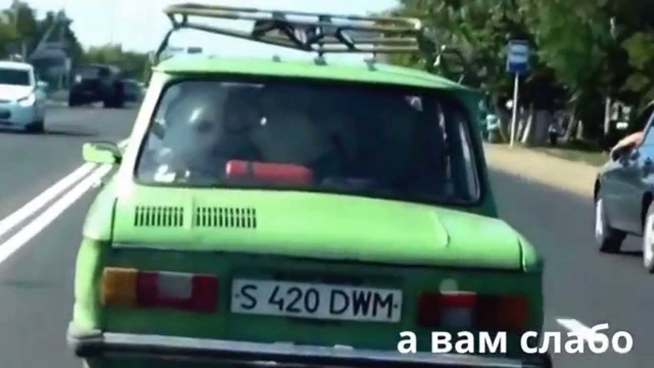 Корова в машине
