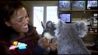 Nâdiya - Souvenir Zoo de Beauval #Koalas #Australie (France 3 TV)