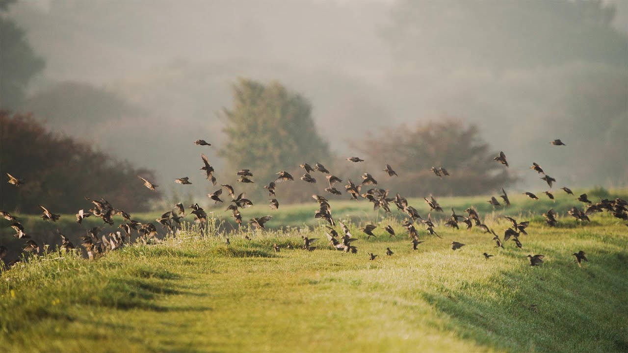The Iford Estate -  Biodiversity Net Gains