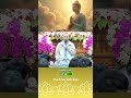 Thiền Là "Thần Dược" Chữa Lành Thân Bệnh Và Tâm Bệnh | Thích Nữ Giới Bảo