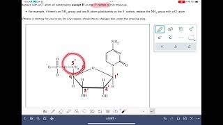 ALEKS: Numbering the carbons in nucleotides