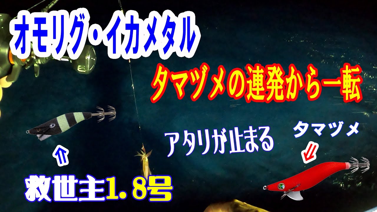 【オモリグ・イカメタル】再び妻を連れて白イカ釣り 夕マヅメの連発から一転 イカ釣りって難しいです