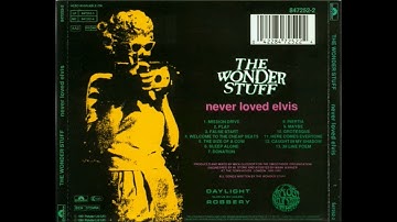 The Wonder Stuff - Caught In My Shadow