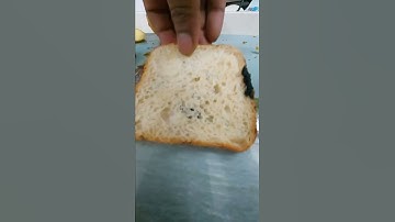 Iodine Test on Starch present in Bread 🍞