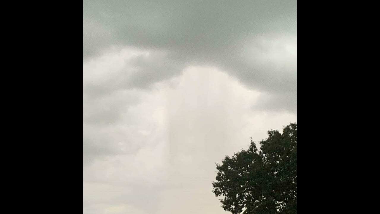 The Birds are Chirping again it’s a New Day