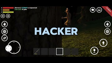Hacker in survival simulator 🪓 🔫 🪵 🏹