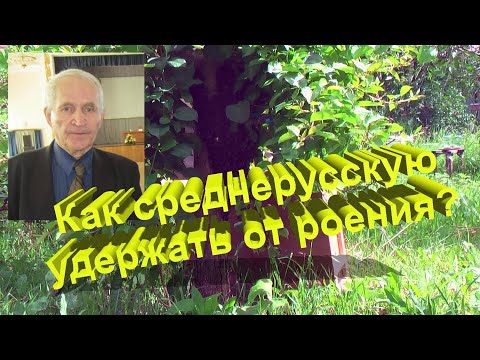 Профессор Кашковский: Как
