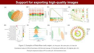 OmicShare tools: A zero-code interactive platform for biological data analysis and visualization