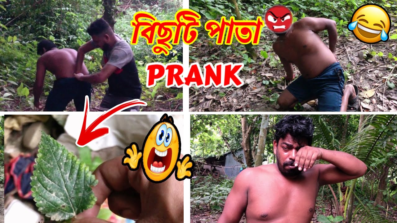 বিছুটি পাতা 😂😂 Funny Prank Video 2024 🤣 Prank on wife & Best Friend Bangla | Rd Boyes