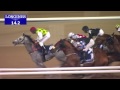 Race 1 - Al Maktoum Challenge R1 Presented By Longines Dolce Vita
