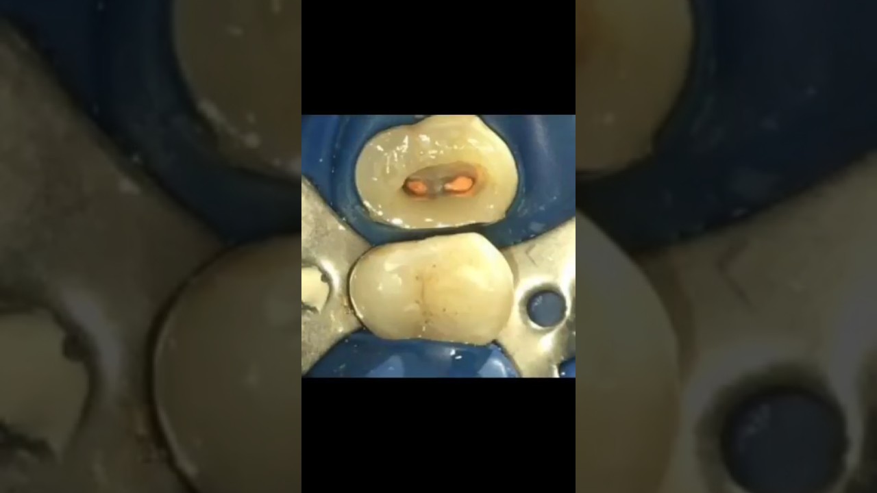 Rashid Dental Clinic 