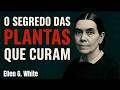 AS 3 PLANTAS QUE CURAM O CORPO E A ALMA SEGUNDO ELLEN WHITE