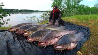 How to Fish for Catfish with Unicat Pellets in the Rhône River #catfish #pellet #Unicat