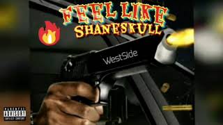 Shane Skxll - Feel Like (Official Audio)