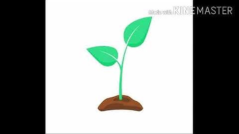 Microirrigation Part2 / Land Gradient and Suitability of Irrigation System