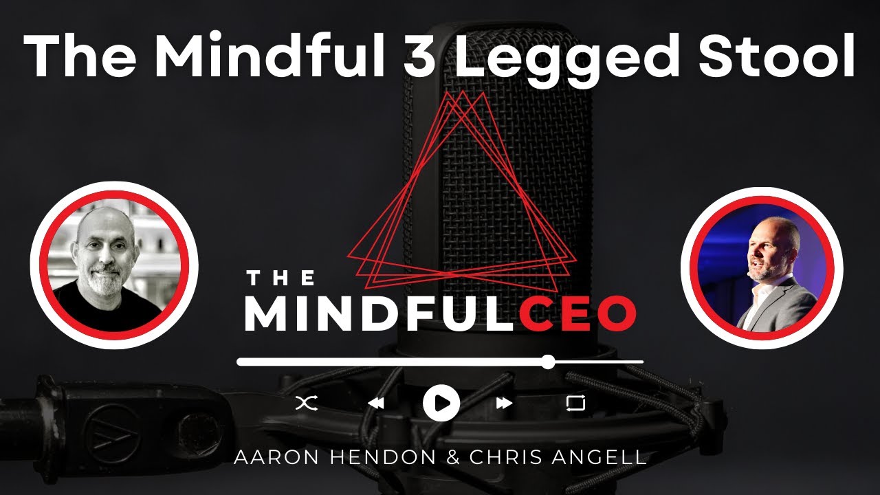The Mindful 3 Legged Stool | The Mindful CEO Podcast