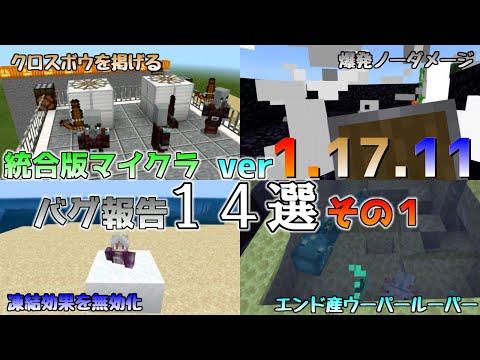 [統合版マイクラ]Ver1.17.11 マイクラのバグ１４選～その１～【Switch/Win10/PE/PS4/Xbox】