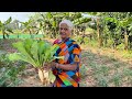     village style  radish spinach recipe  made traditionally