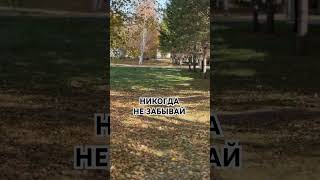 видео: НИКОГДА НЕ ЗАБЫВАЙ, Мудрость картинка: НИКОГДА НЕ ЗАБЫВАЙ, Мудрость