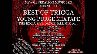 TRIGGA - YOUNG PURGE MIXTAPE 2019 - NEW GENERATION MUSIC SKN MIX VOL.12 - (MIXED BY DJ DALLAR COIN)