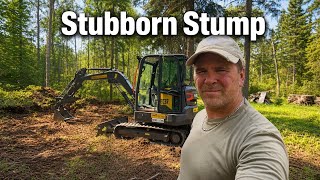 15 minutes of pure stump removal satisfaction Volvo EC37 mini excavator