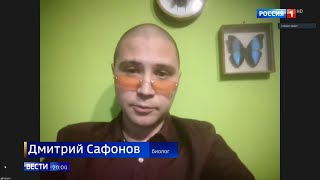 Россия 1 Вести Пьяные пчёлы биолог Дмитрий Сафонов