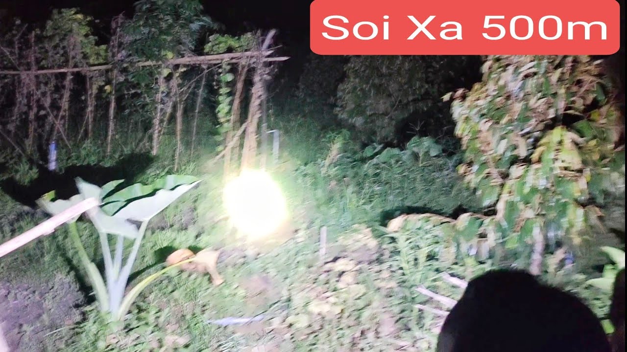 Thử Độ Sáng Đèn Pin W591 | Soi Xa Trong Đêm Trên 500m | Sđt + Zalo: 0375673715