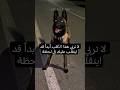 لا تربي هذا الكلب أبدا قد ينقلب عليك في لحظة لا تربي هذا الكلب أبدا قد ينقلب عليك في لحظة
