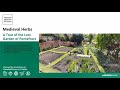 Medieval Herbs - A Behind the Scenes Tour of the Garden