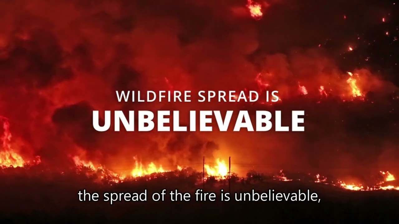 Craig McLean – Fire Based Ecosystems