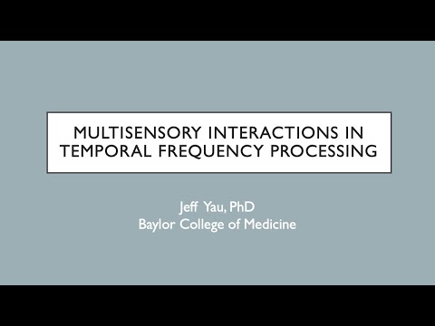 Multisensory interactions in temporal frequency processing recording thumbnail